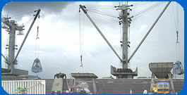 bulk cargo discharging system
